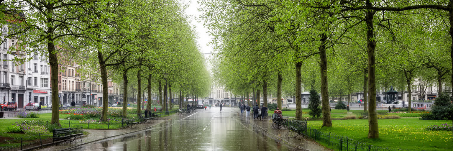 ブリュッセルの雨、街路樹、公園、運河、断熱改修、気候適応を表す緑の都市景観
