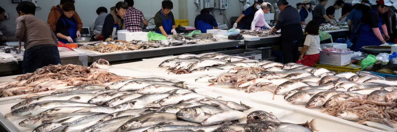 釜山の魚市場と海鮮食文化を表す画像