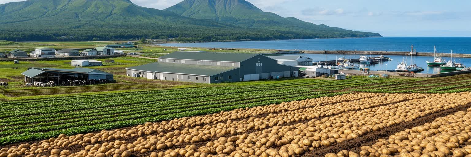 北海道の畑、酪農、漁港、市場、札幌の食文化が重なる景観