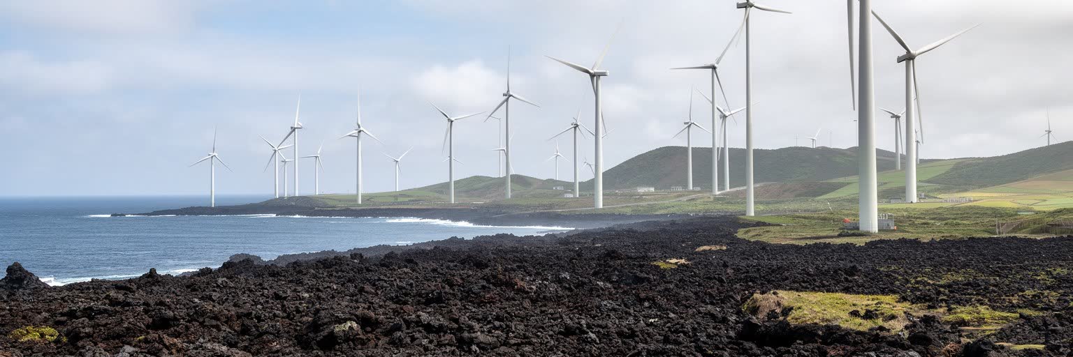 済州の風力発電、海岸、環境課題を表す画像