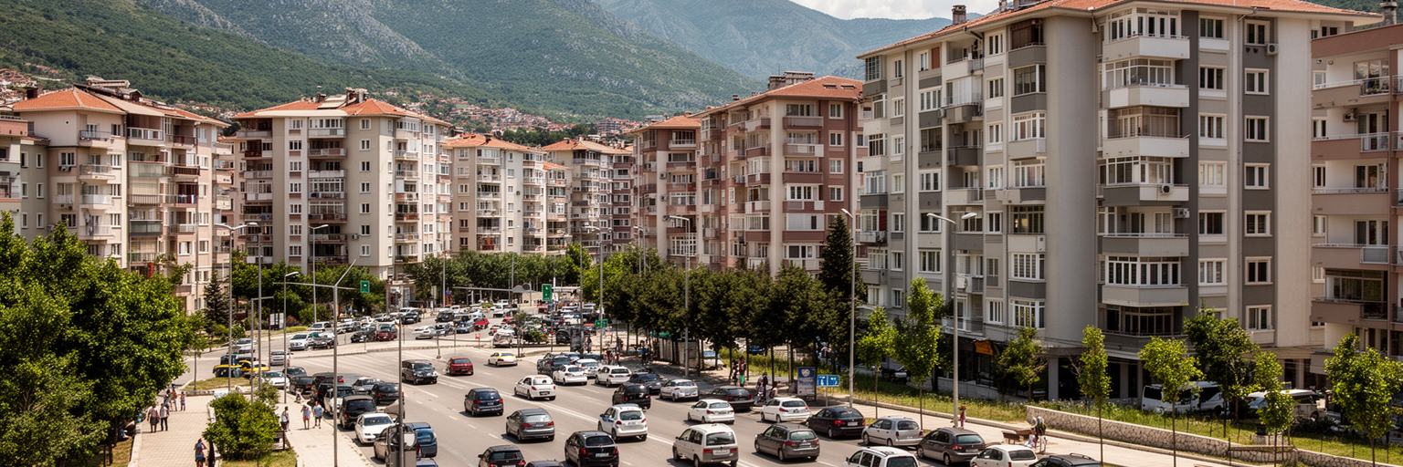 ポドゴリツァの集合住宅、郊外開発、車交通、歩道、夏の街路を表す景観