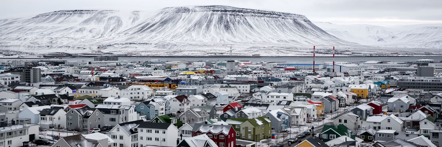 レイキャビクの住宅地、冬の暮らし、公共サービスを表す画像