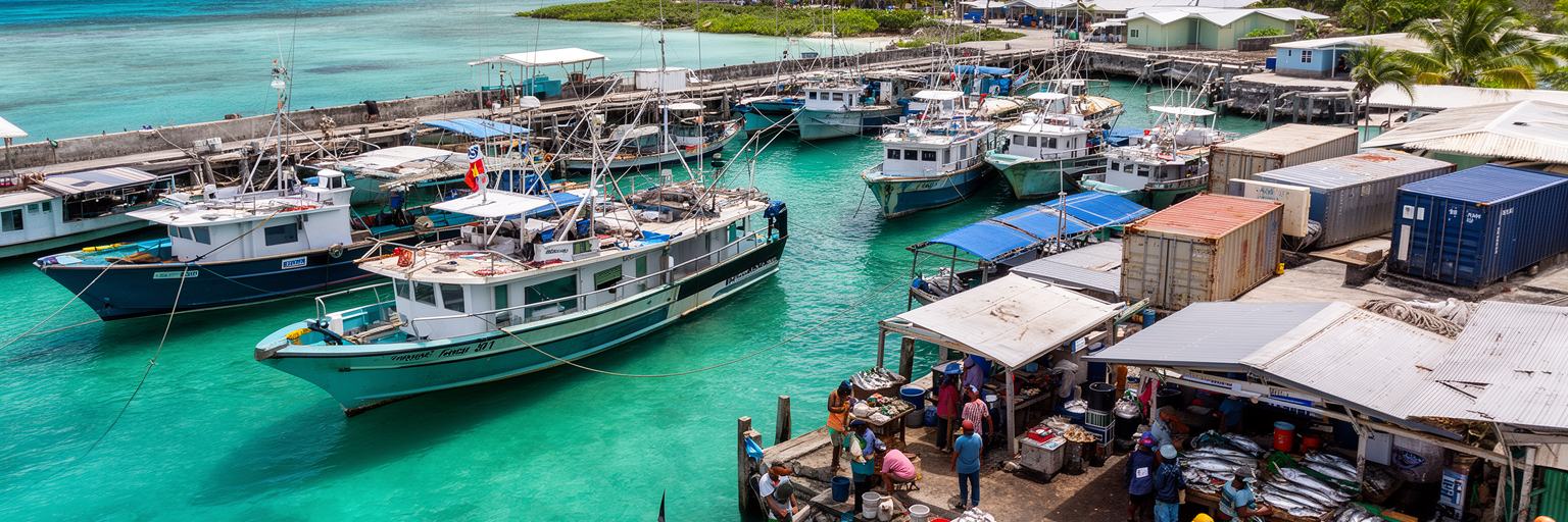 ベシオ港、漁船、貨物、魚市場、ラグーンの物流が重なるサウスタラワの港湾景観