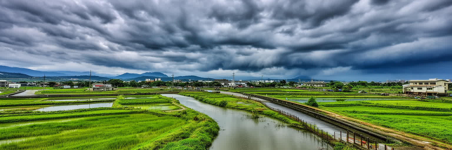 台南の水路、雨、暑さ、湿地を表す画像